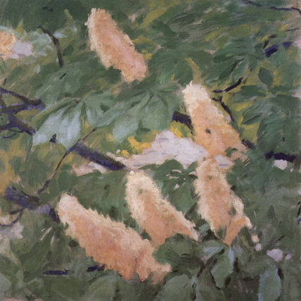Kastanienblüten