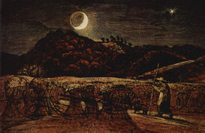 Field in Moonlight