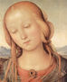 Madonna con San Juan Bautista, Detalle