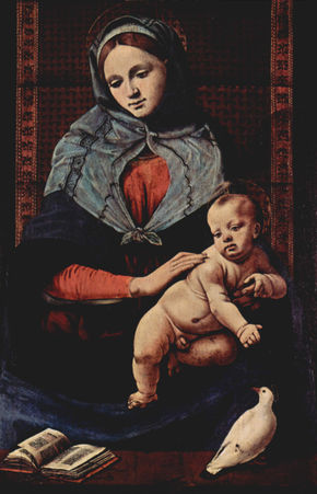 Dove Madonna