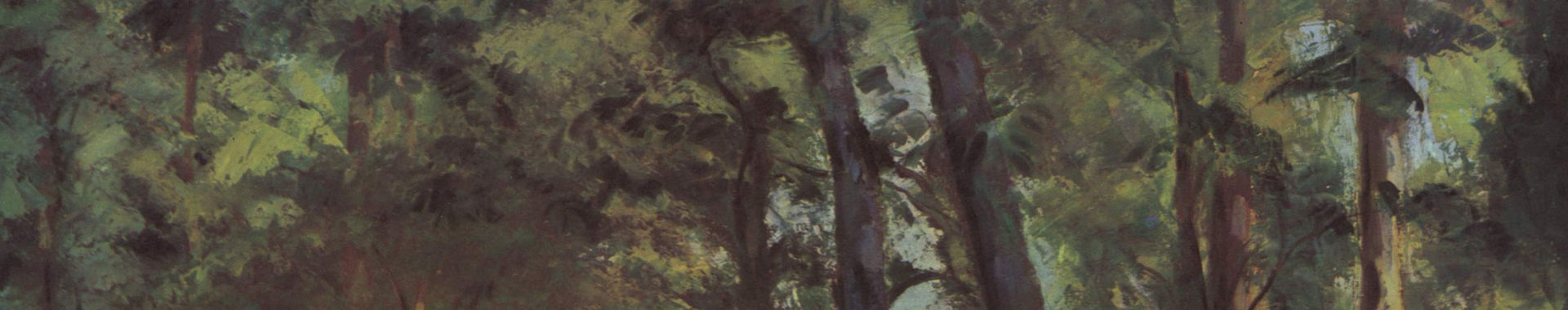 Imagen de portada