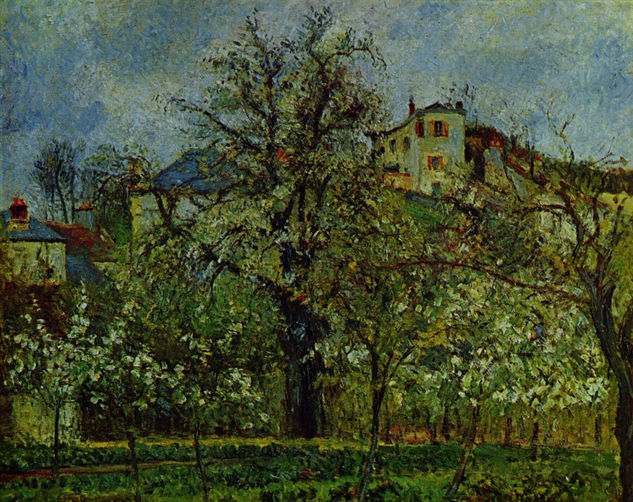 Orchard with Blooming Fruit Trees 