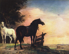 Horses in the Meadow