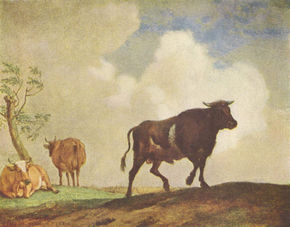 Toros y vacas