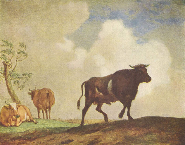 Bulls and Cows 