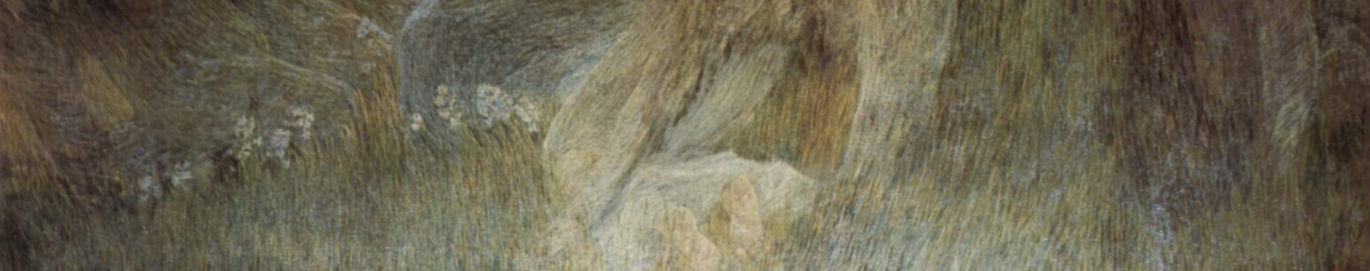 Imagen de portada