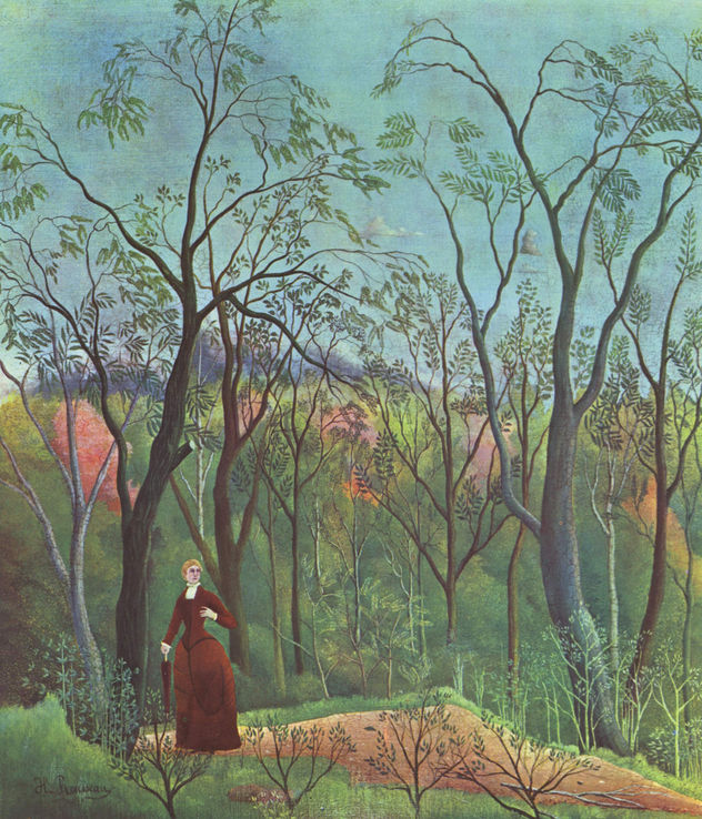 At the Edge of the Forest