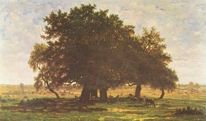 The Oaks of Apremont