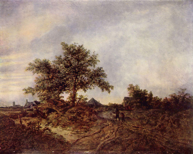 Landscape 