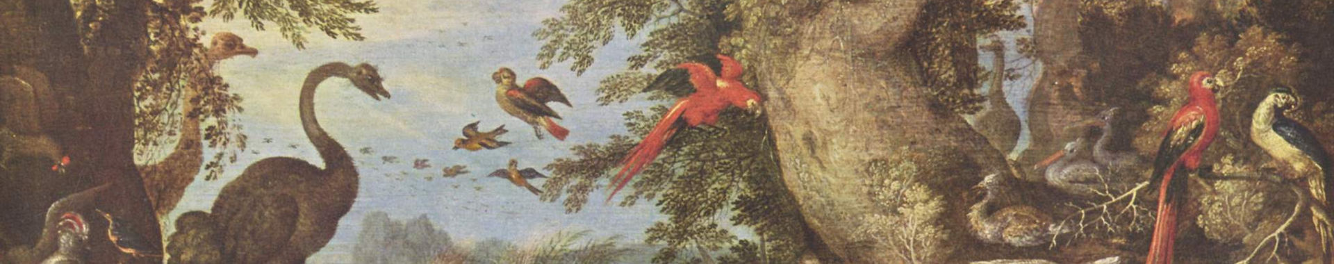Imagen de portada