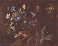 Blue Winds, Toad and Insects