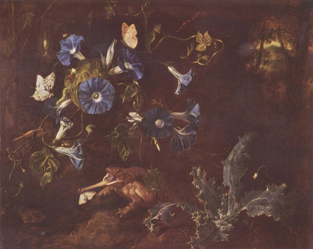 Blue Winds, Toad and Insects 