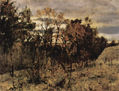 Autumn Evening, Domotkanowo