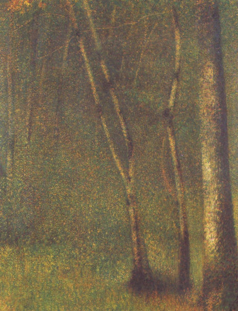 Wald en Pontaubert