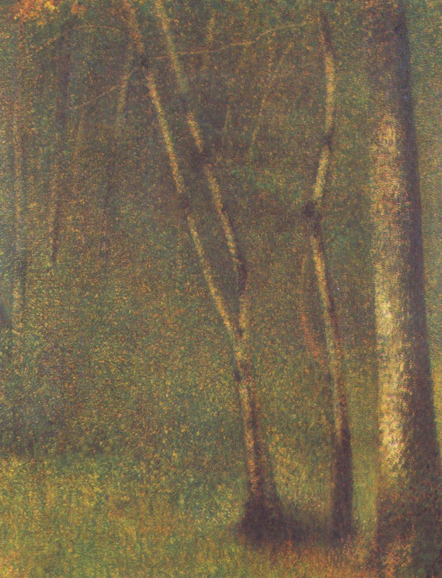 Wald en Pontaubert