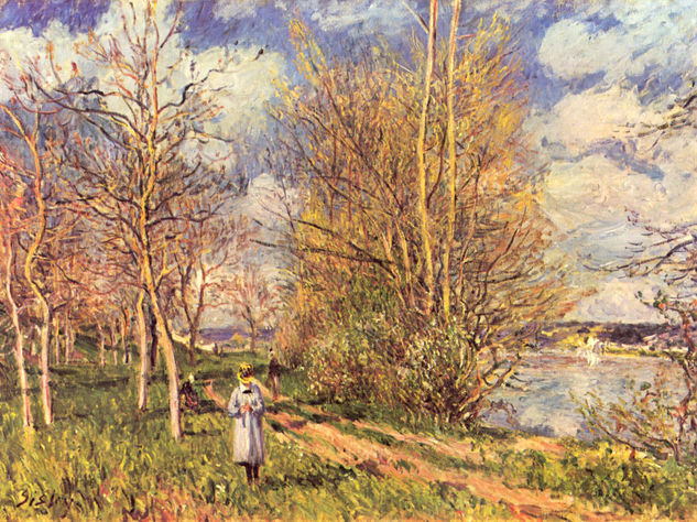 The Little Meadows in Spring 