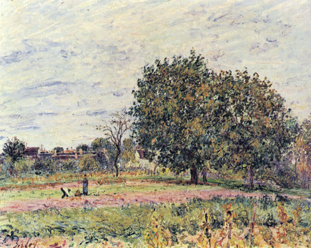 Nussbäume bei untergehender Sonne, Anfang Oktober