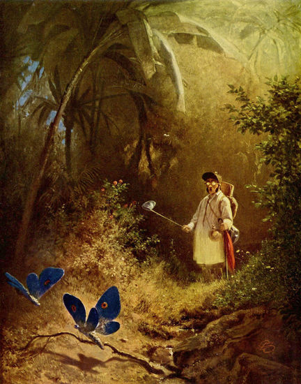 El cazador de mariposas 