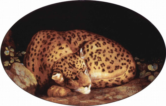 Leopardo, Ovalado 