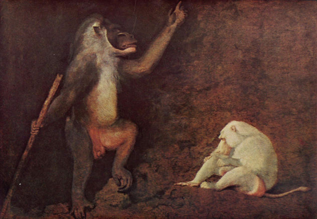 Pavilion and Albino Macaque