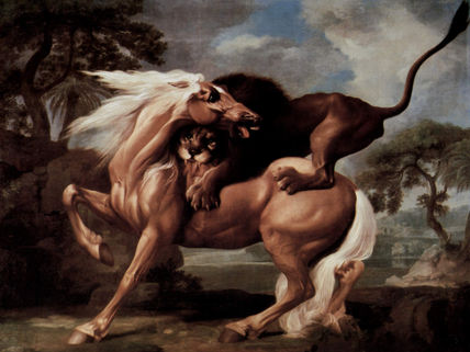 El caballo es...