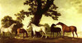 Horses in a Landscape