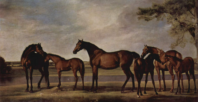 The mares and the colts are frightened by an approaching storm. 