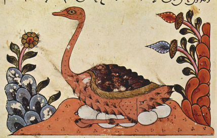 Book about Animals...
