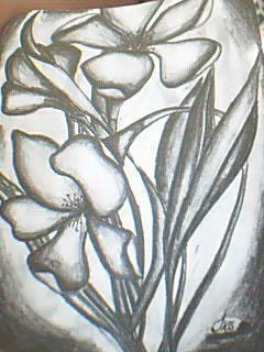 Flores Charcoal