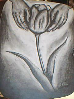 tulips Pencil