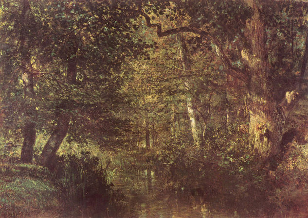 Stream in the Forest 