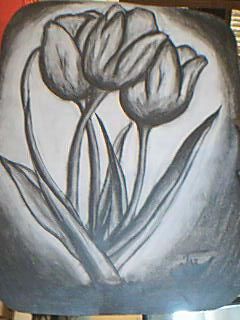 tulips trio Charcoal