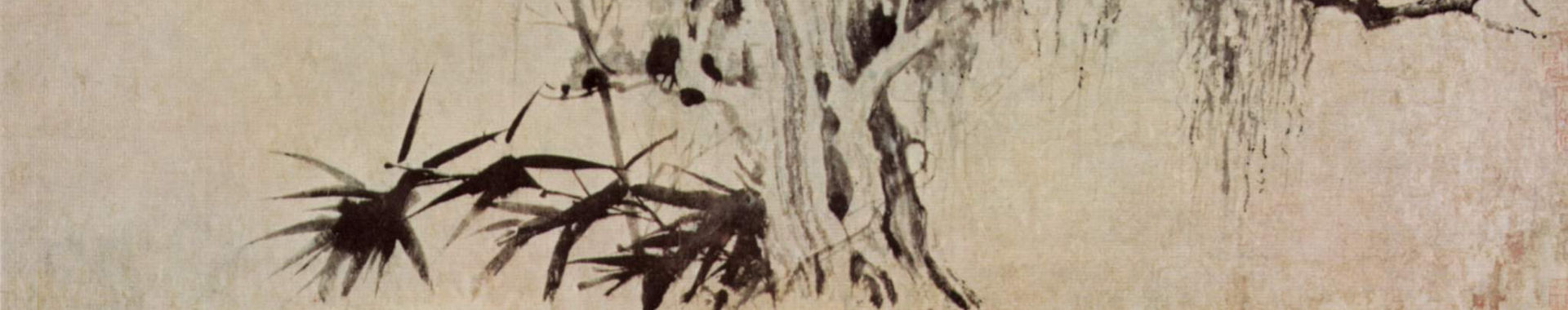 Imagen de portada