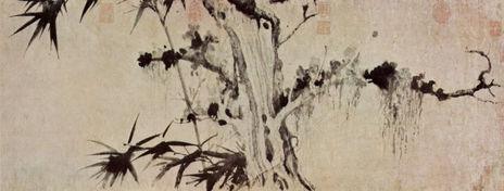Bamboo and Worn Tree