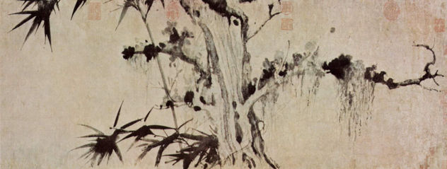 Bambú y árbol desgastado