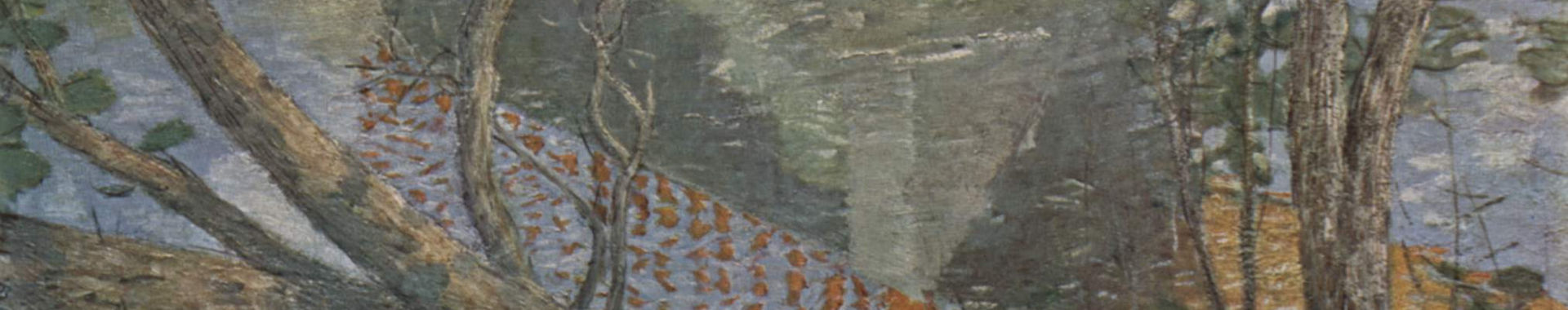 Imagen de portada