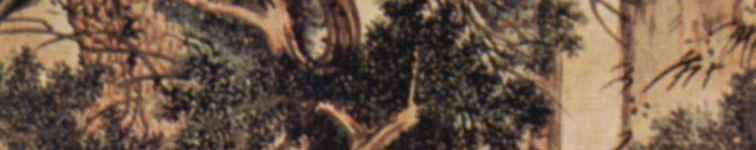 Imagen de portada