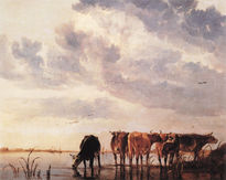 Vacas