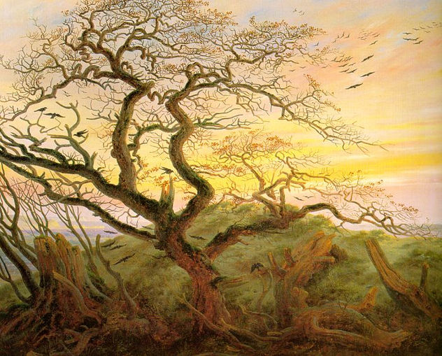The Tree of Crows CGF