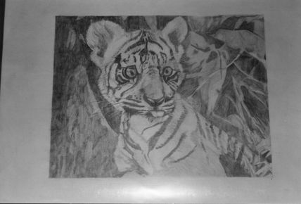 El pequeño tigre