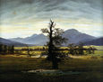 Village Landscape In Morning Light