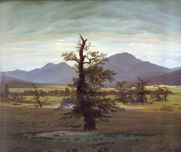 Paisaje con árbol solitario