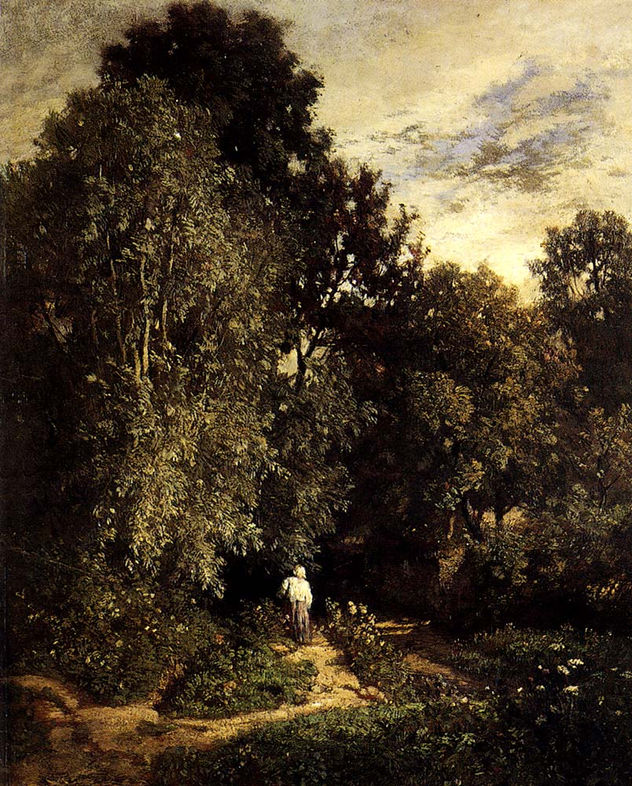 Camino en un pequeño bosque