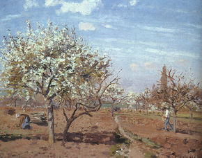 Orchard in Bloom at...