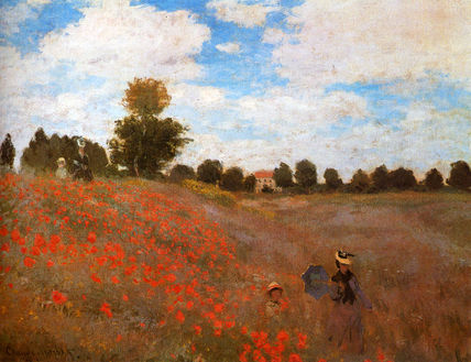 Amapolas silvestres...