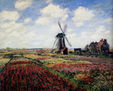 Campos de Tulipanes con el Molino de Rijnsburg 1886