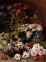 Flores de Primavera