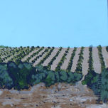 paisajes thumbnail 1