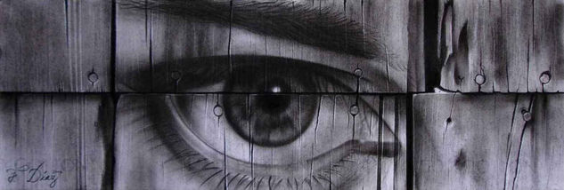 La mirada del pasado Charcoal