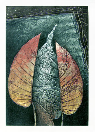 Naturaleza compartida Collagraphy